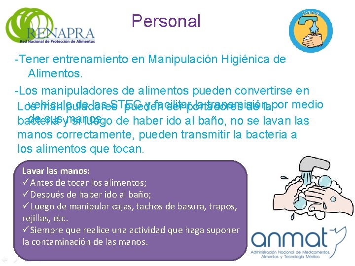 Personal -Tener entrenamiento en Manipulación Higiénica de Alimentos. -Los manipuladores de alimentos pueden convertirse