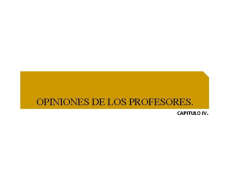 OPINIONES DE LOS PROFESORES. CAPITULO IV. 