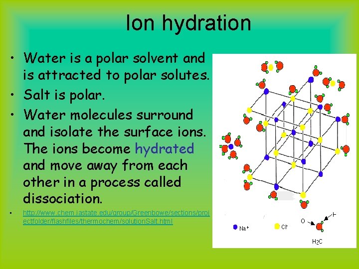 Ion hydration • Water is a polar solvent and is attracted to polar solutes.