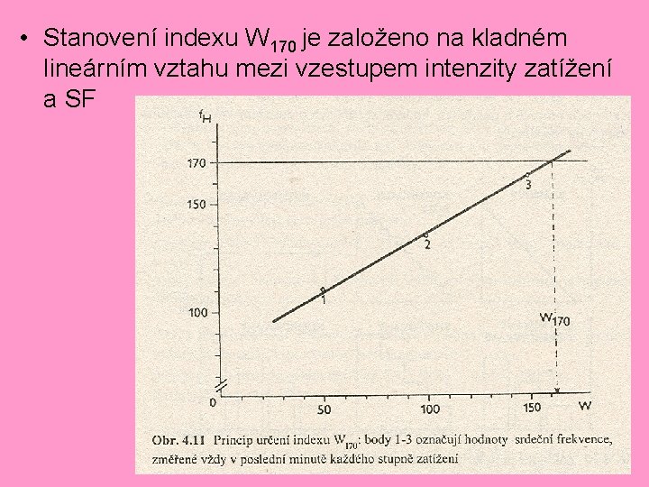 • Stanovení indexu W 170 je založeno na kladném lineárním vztahu mezi vzestupem • Stanovení indexu W 170 je založeno na kladném lineárním vztahu mezi vzestupem
