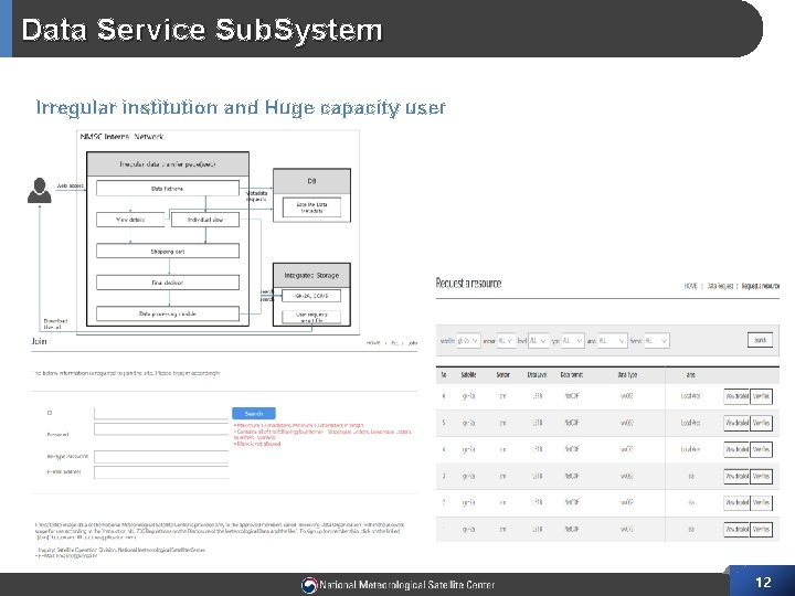 Data Service Sub. System Irregular institution and Huge capacity user 12 