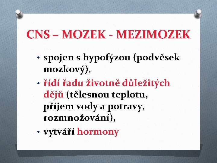 CNS – MOZEK - MEZIMOZEK • spojen s hypofýzou (podvěsek mozkový), • řídí řadu