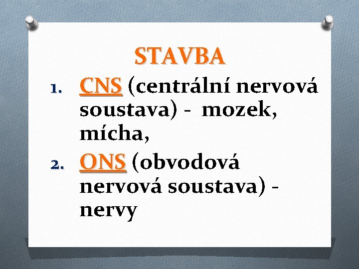 STAVBA 1. CNS (centrální nervová soustava) - mozek, mícha, 2. ONS (obvodová nervová soustava)