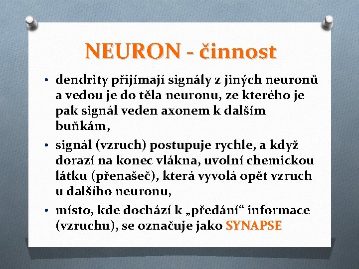 NEURON - činnost • dendrity přijímají signály z jiných neuronů a vedou je do