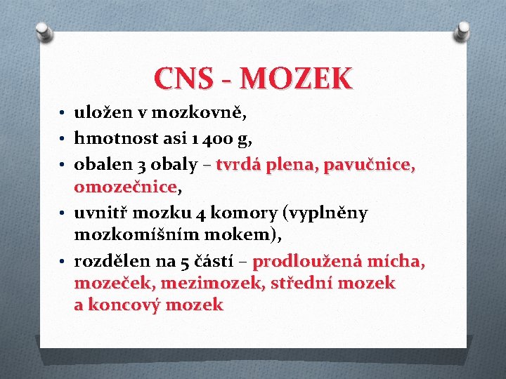 CNS - MOZEK • uložen v mozkovně, • hmotnost asi 1 400 g, •