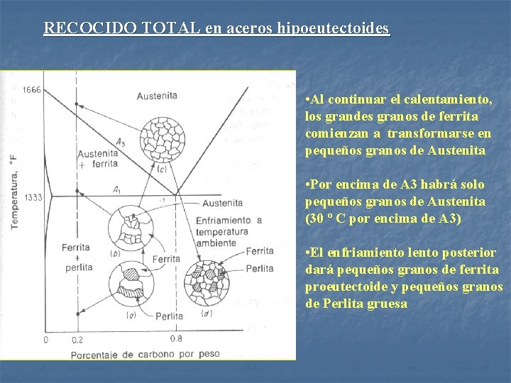 RECOCIDO TOTAL en aceros hipoeutectoides • Al continuar el calentamiento, los grandes granos de