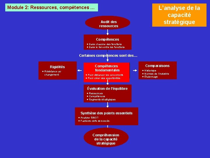 Module 2: Ressources, compétences … Audit des ressources L’analyse de la capacité stratégique Compétences Module 2: Ressources, compétences … Audit des ressources L’analyse de la capacité stratégique Compétences