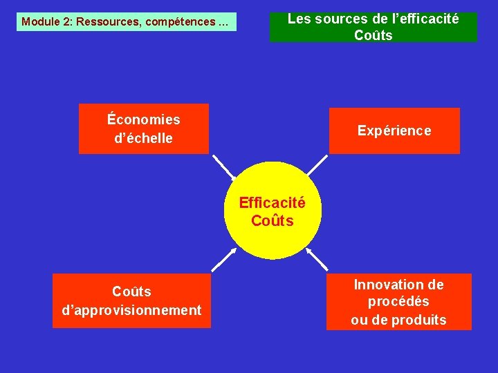 Module 2: Ressources, compétences … Les sources de l’efficacité Coûts Économies d’échelle Expérience Efficacité Module 2: Ressources, compétences … Les sources de l’efficacité Coûts Économies d’échelle Expérience Efficacité
