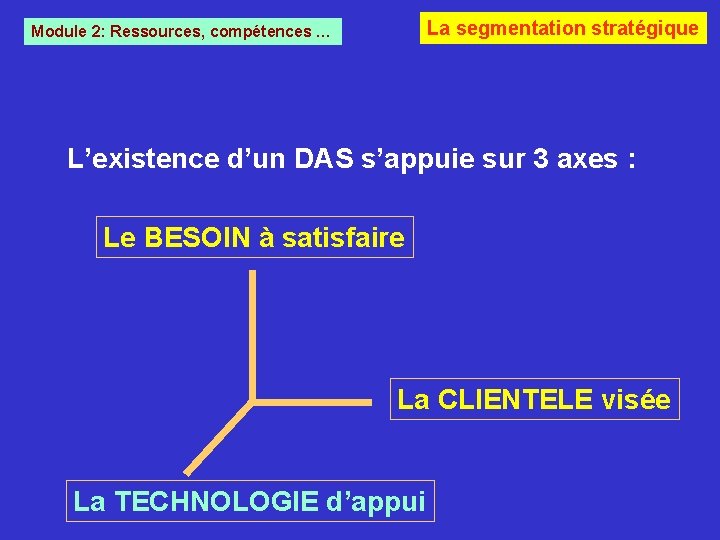 La segmentation stratégique Module 2: Ressources, compétences … L’existence d’un DAS s’appuie sur 3 La segmentation stratégique Module 2: Ressources, compétences … L’existence d’un DAS s’appuie sur 3