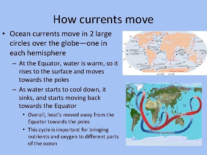 How currents move • Ocean currents move in 2 large circles over the globe—one