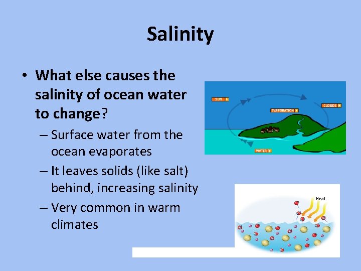 Salinity • What else causes the salinity of ocean water to change? – Surface