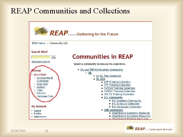 REAP Communities and Collections 10/30/2020 23 