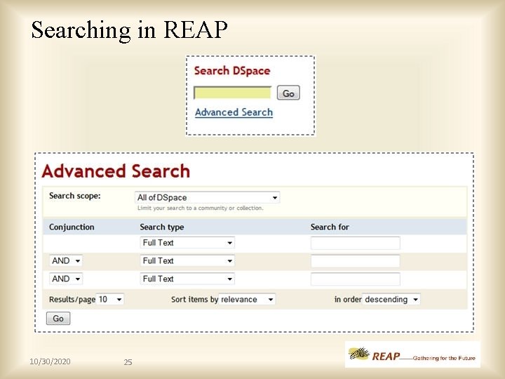 Searching in REAP 10/30/2020 25 Searching in REAP 10/30/2020 25