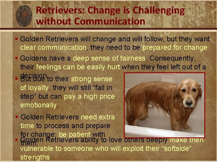 Retrievers: Change is Challenging without Communication § Golden Retrievers will change and will follow,