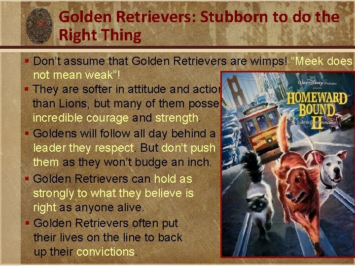 Golden Retrievers: Stubborn to do the Right Thing § Don’t assume that Golden Retrievers