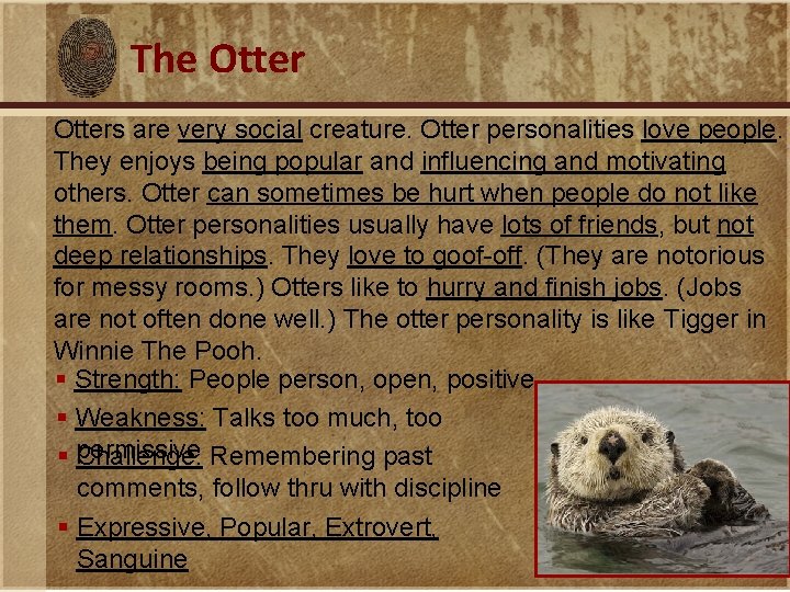 The Otters are very social creature. Otter personalities love people. They enjoys being popular