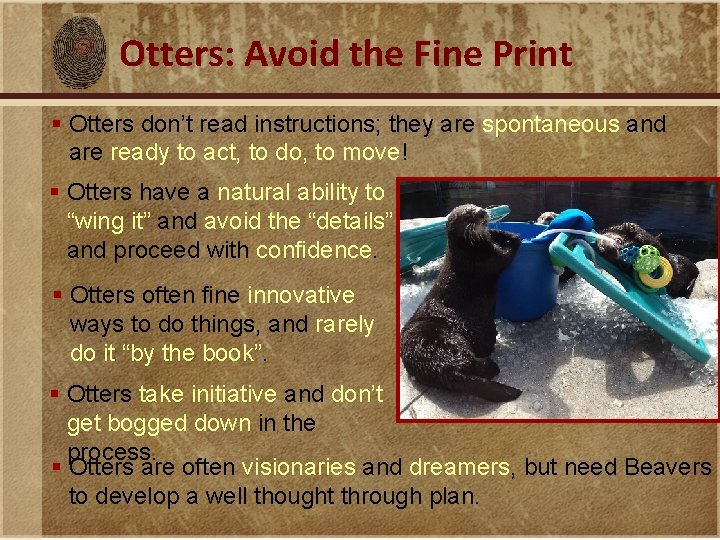 Otters: Avoid the Fine Print § Otters don’t read instructions; they are spontaneous and