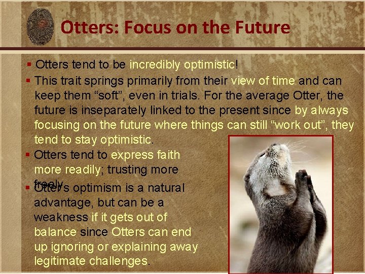 Otters: Focus on the Future § Otters tend to be incredibly optimistic! § This