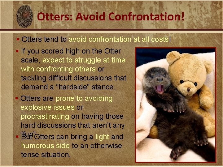 Otters: Avoid Confrontation! § Otters tend to avoid confrontation at all costs! § If