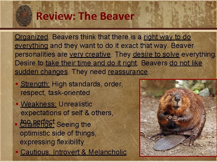 Review: The Beaver Organized. Beavers think that there is a right way to do