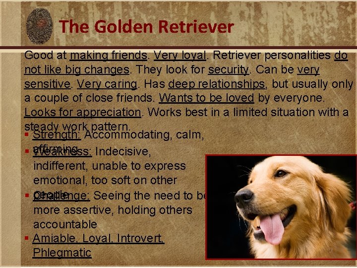 The Golden Retriever Good at making friends. Very loyal. Retriever personalities do not like
