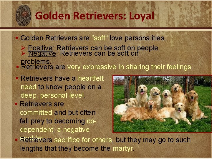 Golden Retrievers: Loyal § Golden Retrievers are “soft” love personalities. Ø Positive: Retrievers can