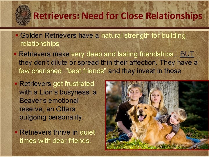 Retrievers: Need for Close Relationships § Golden Retrievers have a natural strength for building