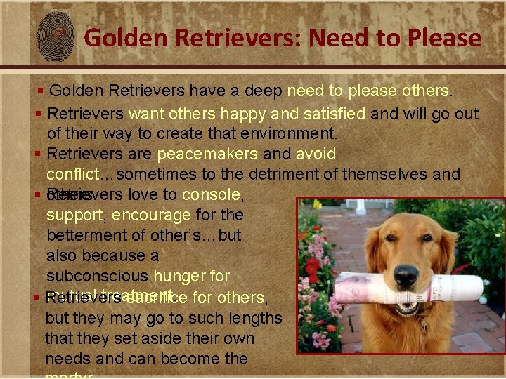 Golden Retrievers: Need to Please § Golden Retrievers have a deep need to please