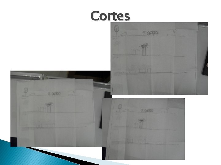 Cortes 