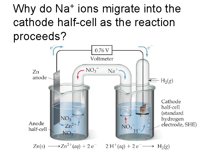 Why do Na+ ions migrate into the cathode half-cell as the reaction proceeds? 