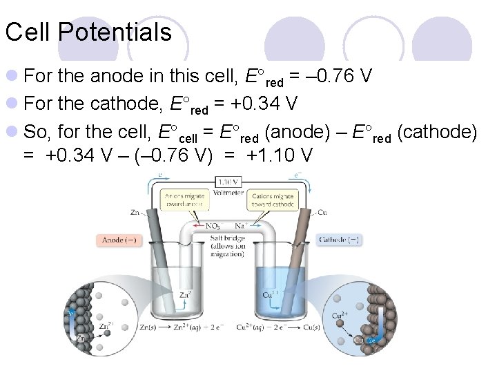 Cell Potentials l For the anode in this cell, E°red = – 0. 76