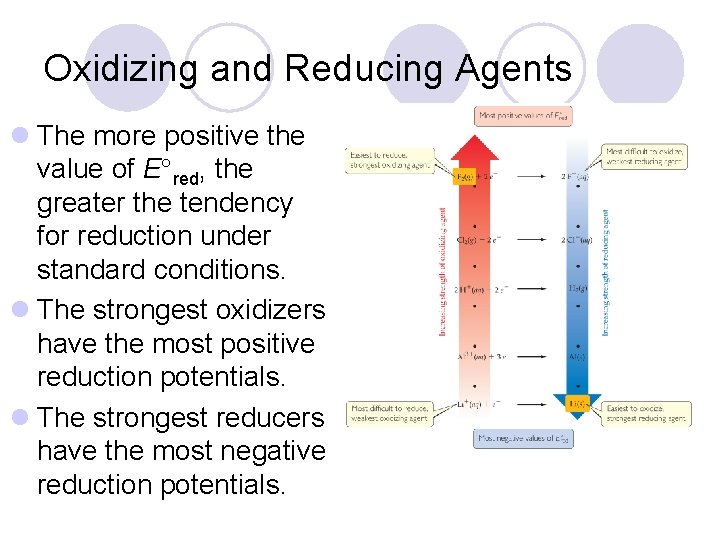 Oxidizing and Reducing Agents l The more positive the value of E°red, the greater