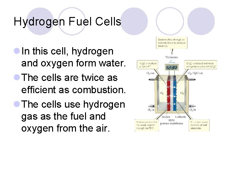 Hydrogen Fuel Cells l In this cell, hydrogen and oxygen form water. l The