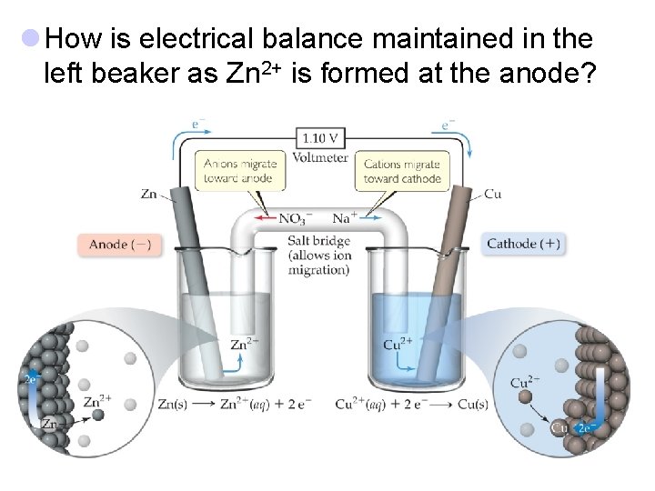 l How is electrical balance maintained in the left beaker as Zn 2+ is