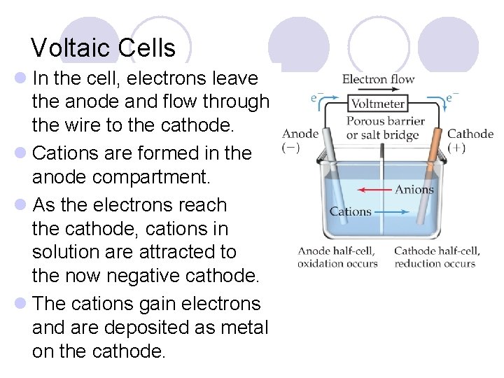 Voltaic Cells l In the cell, electrons leave the anode and flow through the
