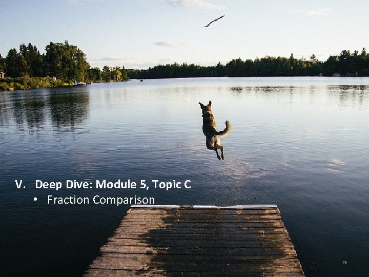 V. Deep Dive: Module 5, Topic C • Fraction Comparison 75 