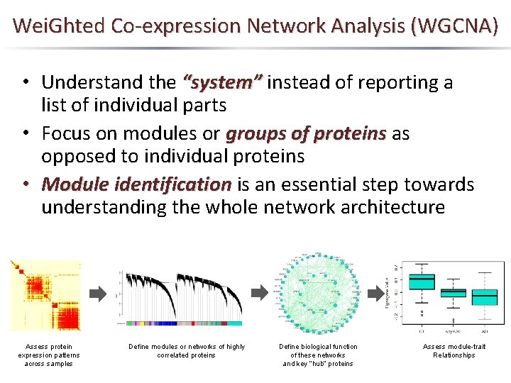 Wei. Ghted Co-expression Network Analysis (WGCNA) • Understand the “system” instead of reporting a
