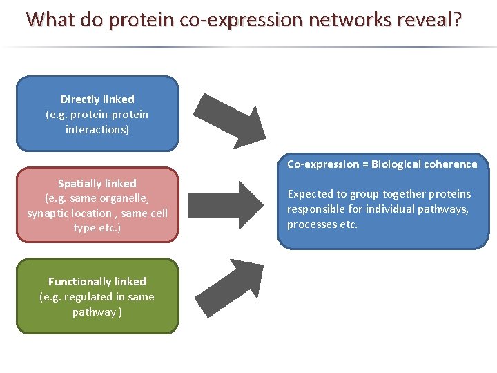What do protein co-expression networks reveal? Directly linked (e. g. protein-protein interactions) Co-expression =