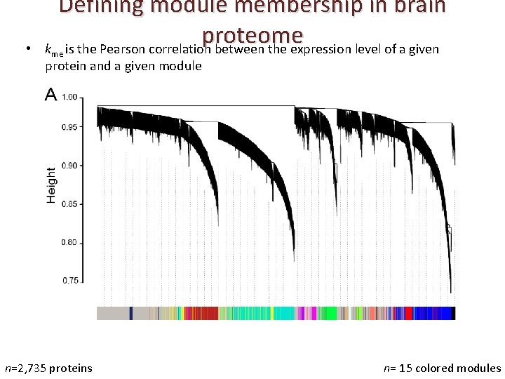  • Defining module membership in brain proteome k is the Pearson correlation between