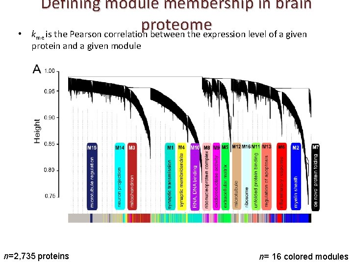  • Defining module membership in brain proteome k is the Pearson correlation between