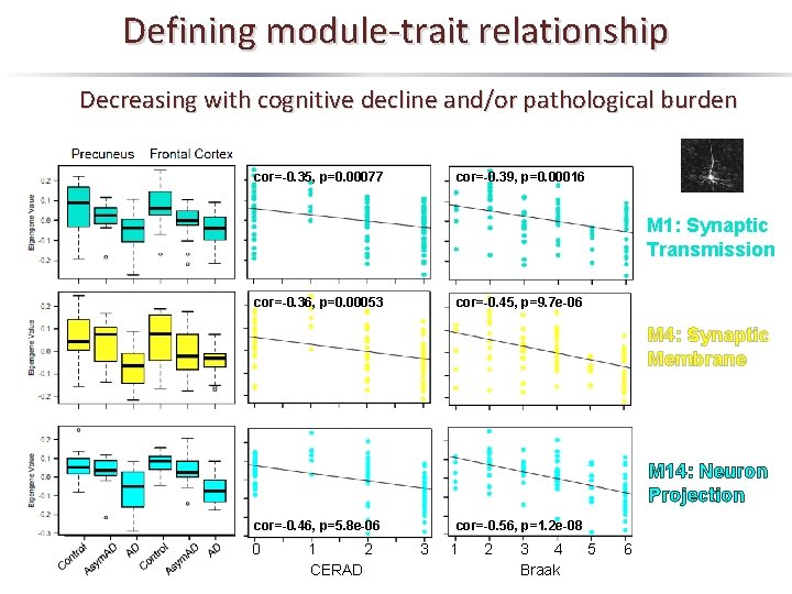 Defining module-trait relationship Decreasing with cognitive decline and/or pathological burden cor=-0. 35, p=0. 00077