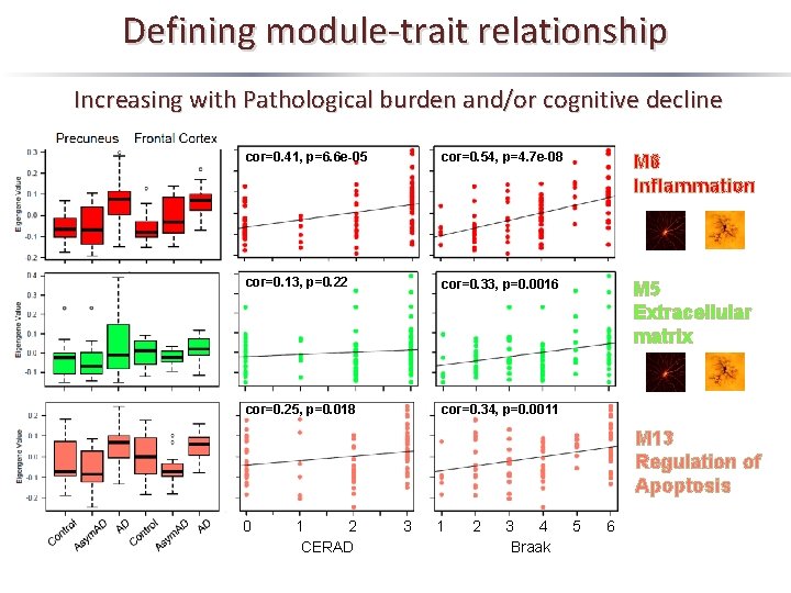 Defining module-trait relationship Increasing with Pathological burden and/or cognitive decline cor=0. 41, p=6. 6