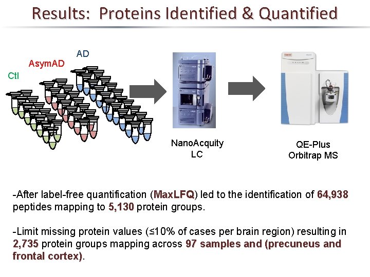 Results: Proteins Identified & Quantified Asym. AD AD Ctl Nano. Acquity LC QE-Plus Orbitrap