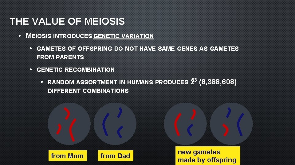 THE VALUE OF MEIOSIS • MEIOSIS INTRODUCES GENETIC VARIATION • GAMETES OF OFFSPRING DO