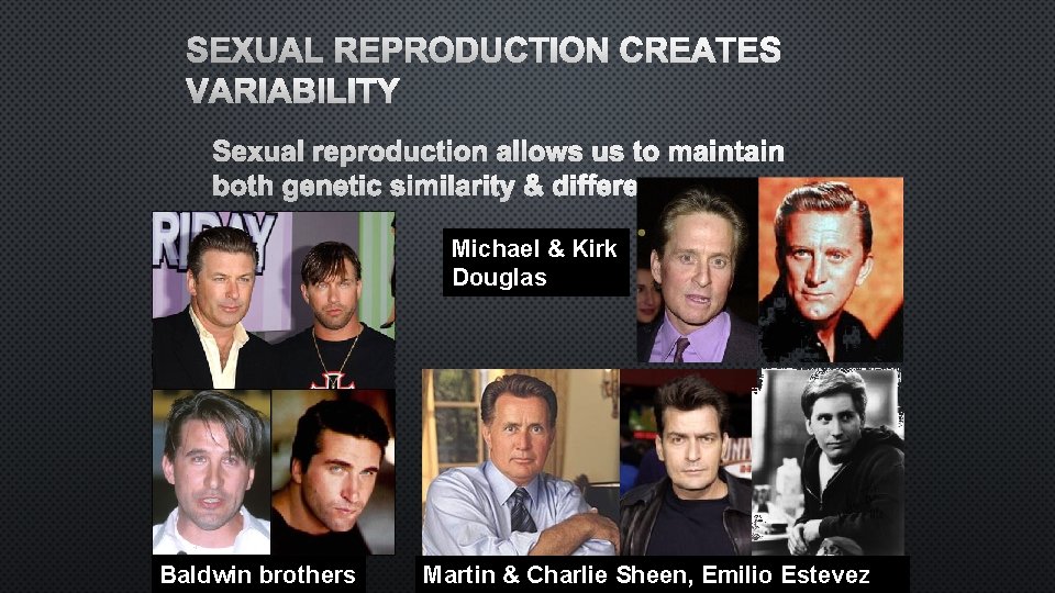 SEXUAL REPRODUCTION CREATES VARIABILITY SEXUAL REPRODUCTION ALLOWS US TO MAINTAIN BOTH GENETIC SIMILARITY &