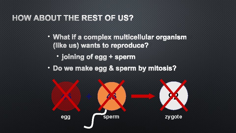 HOW ABOUT THE REST OF US? • WHAT IF A COMPLEX MULTICELLULAR ORGANISM (LIKE