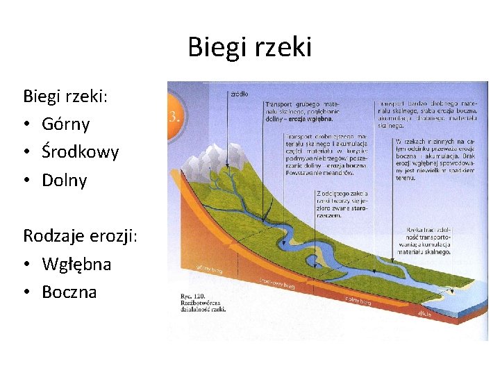 Biegi rzeki: • Górny • Środkowy • Dolny Rodzaje erozji: • Wgłębna • Boczna