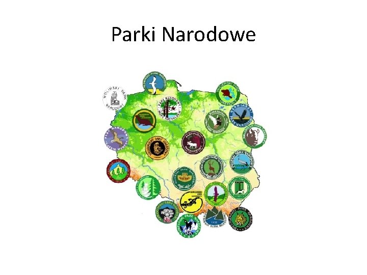 Parki Narodowe 