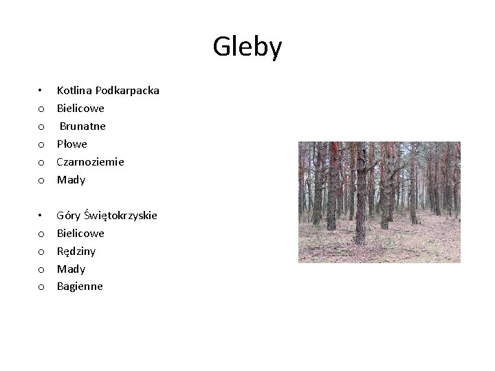 Gleby • o o o Kotlina Podkarpacka Bielicowe Brunatne Płowe Czarnoziemie Mady • o