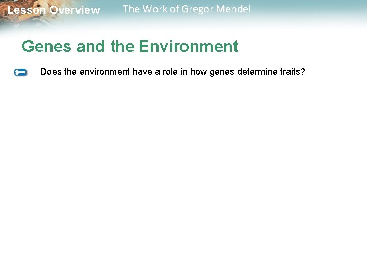  Lesson Overview The Work of Gregor Mendel Genes and the Environment Does the